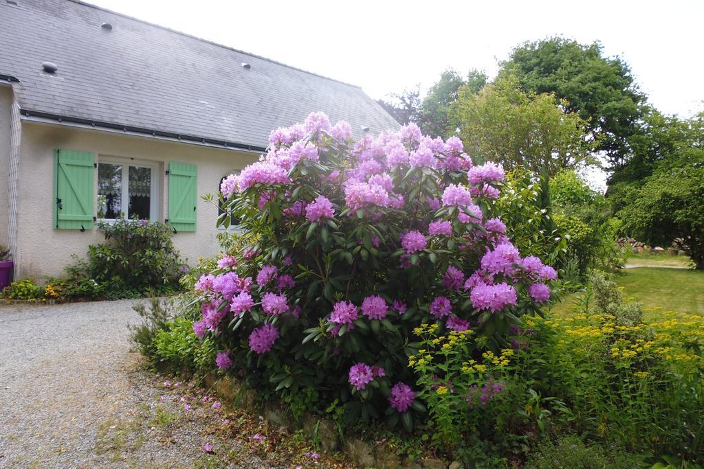 Le Pre De La Lande Bed & Breakfast La Chapelle-Sur-Erdre Exterior photo